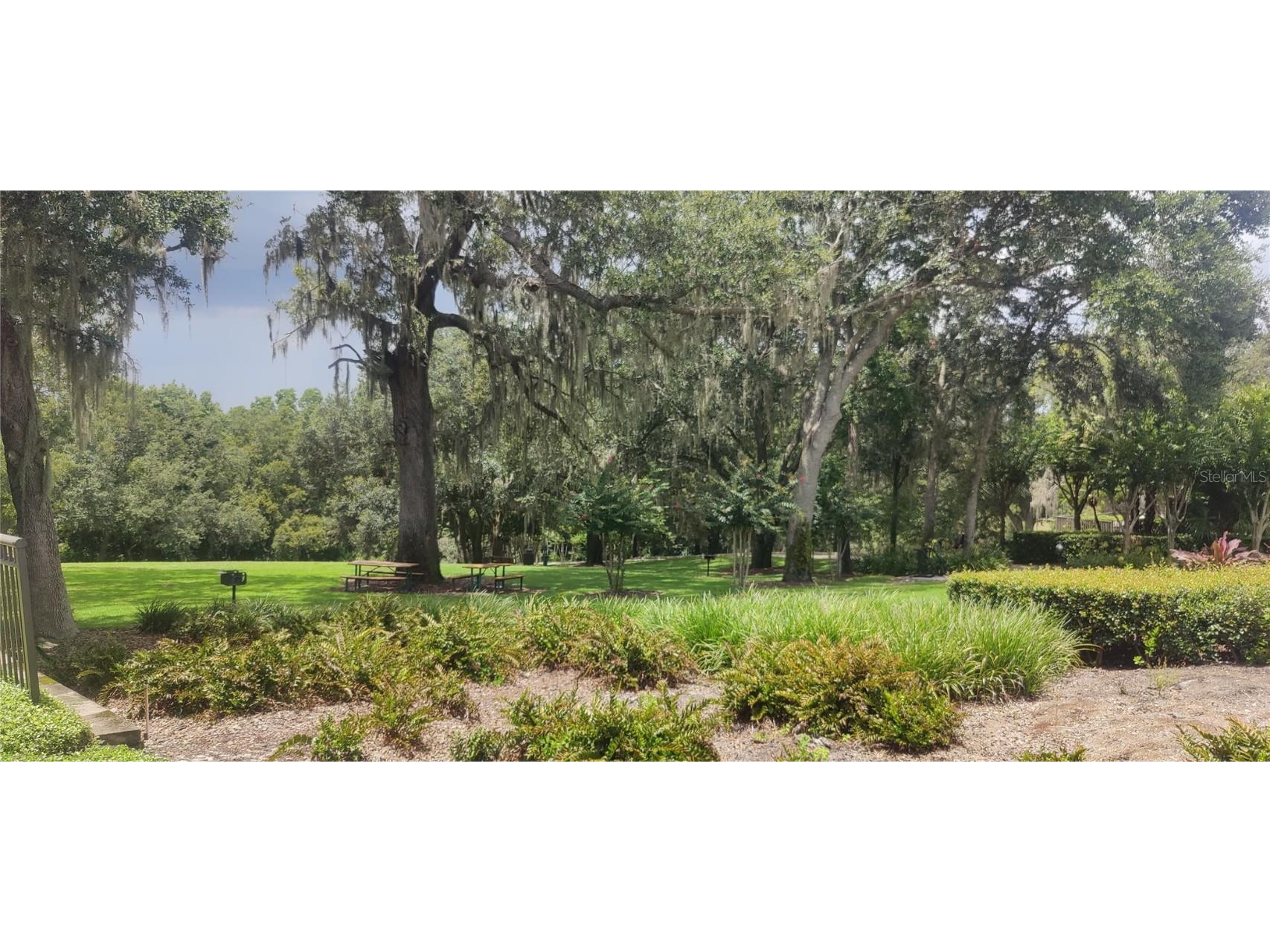 22011 Belgian Court Mount Dora FL 32757 A4659996 image33