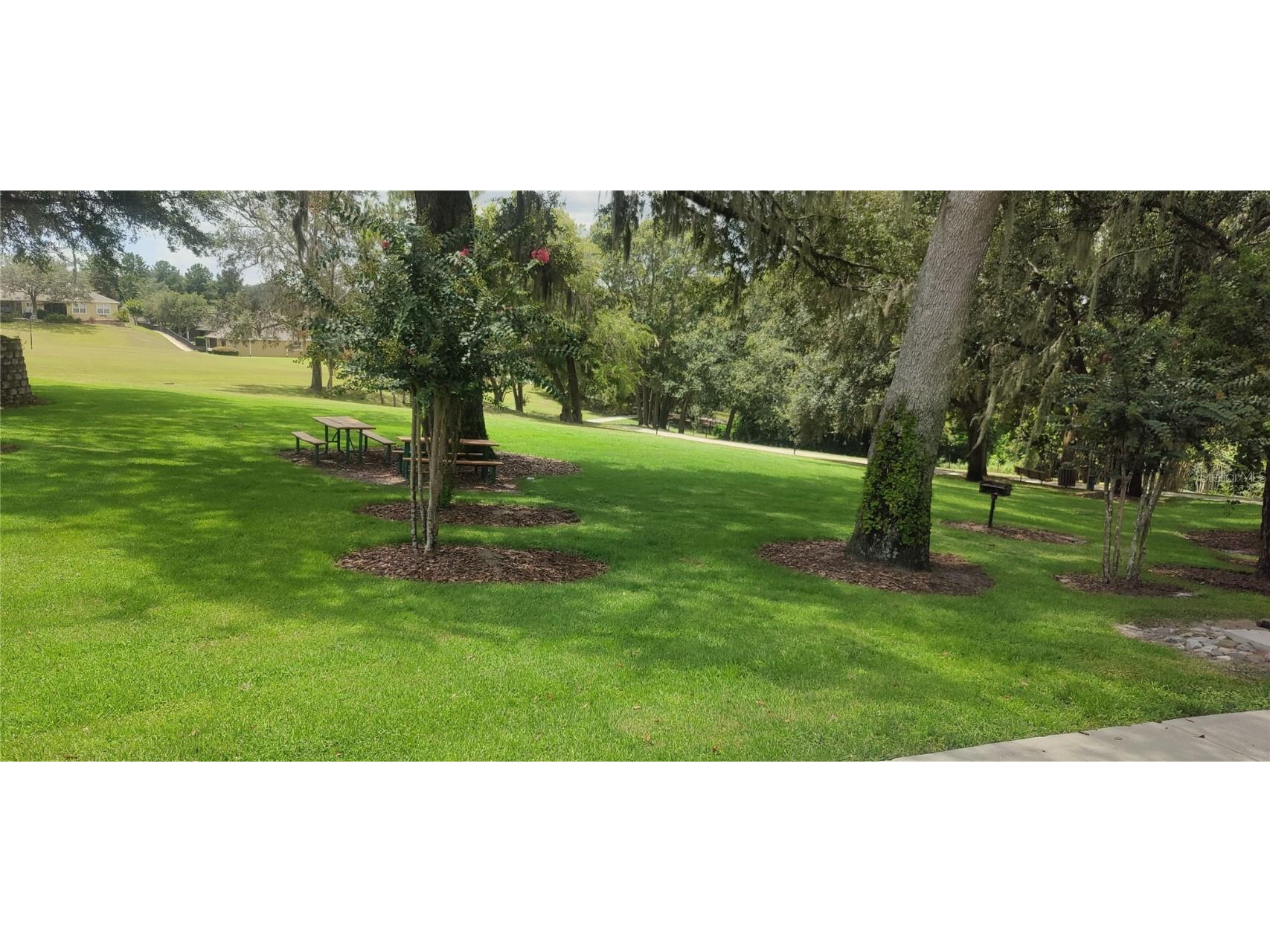 22011 Belgian Court Mount Dora FL 32757 A4659996 image34