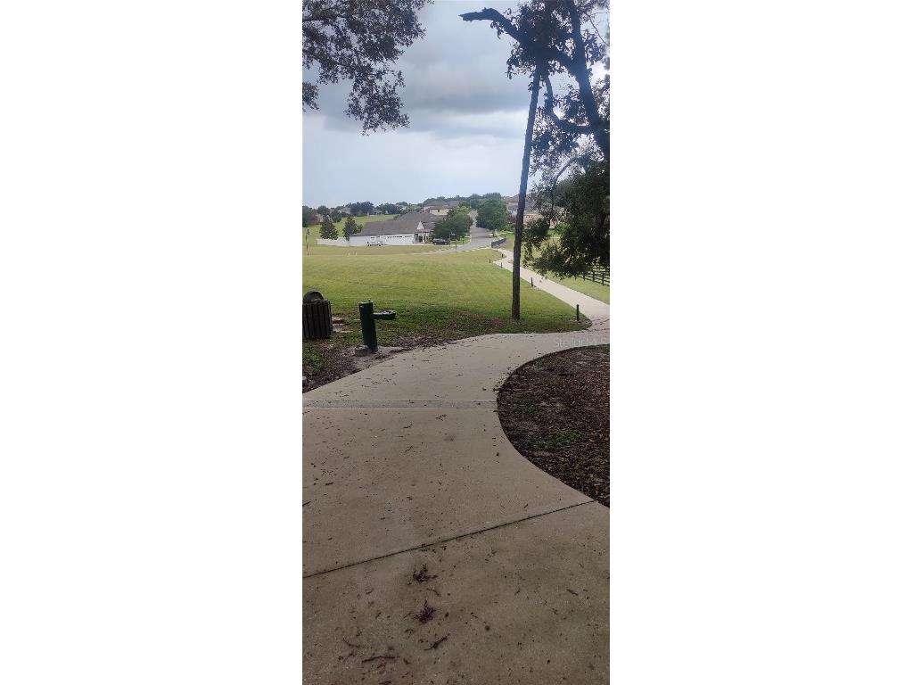 22011 Belgian Court Mount Dora FL 32757 A4659996 image35