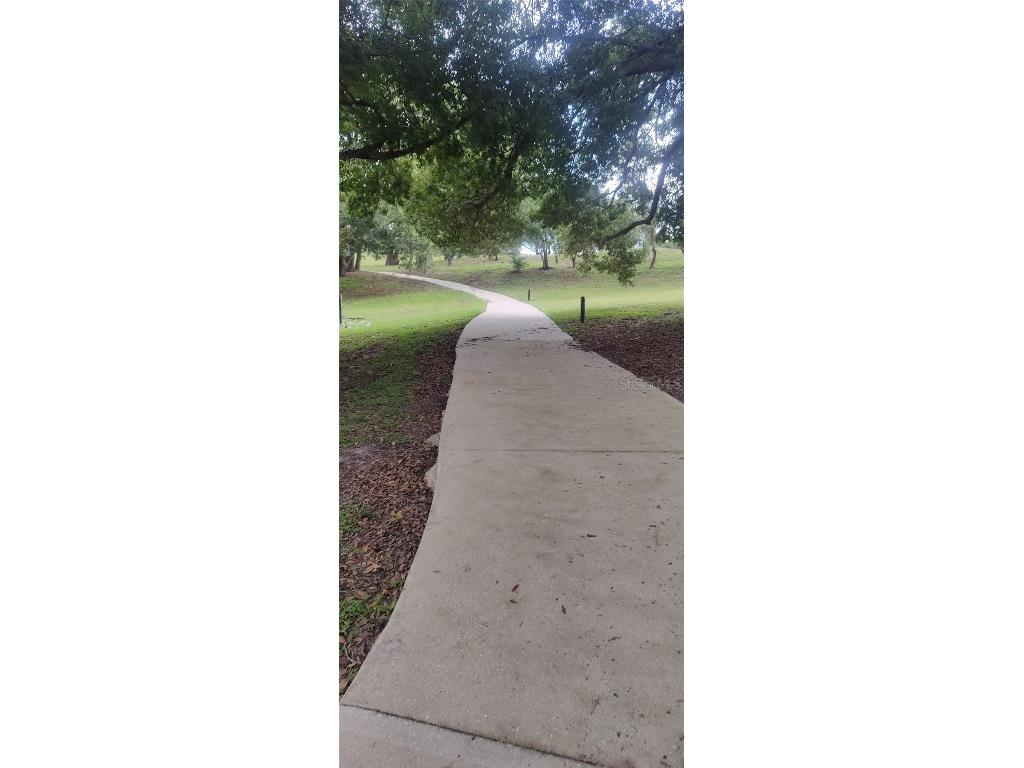 22011 Belgian Court Mount Dora FL 32757 A4659996 image36