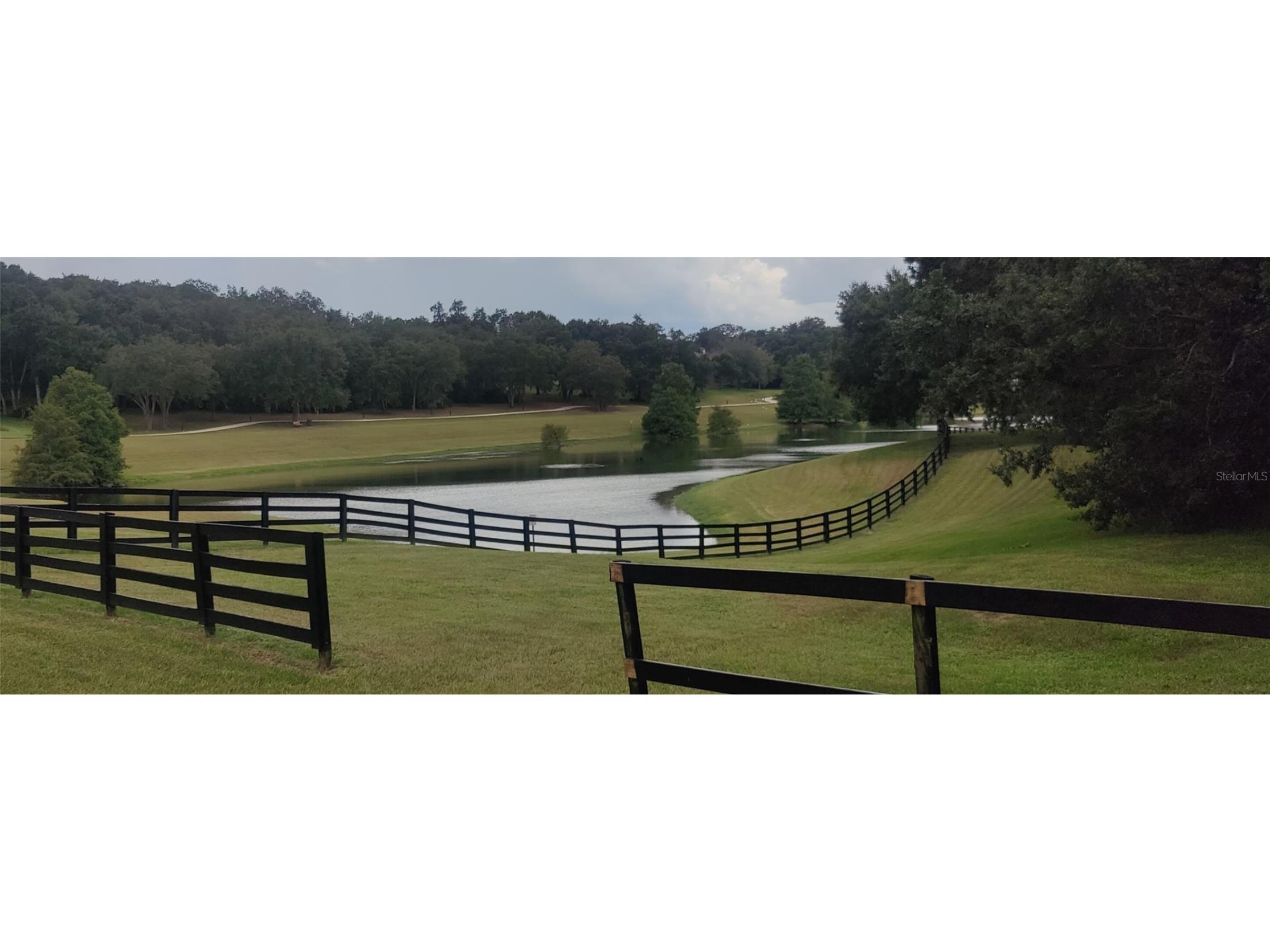 22011 Belgian Court Mount Dora FL 32757 A4659996 image9