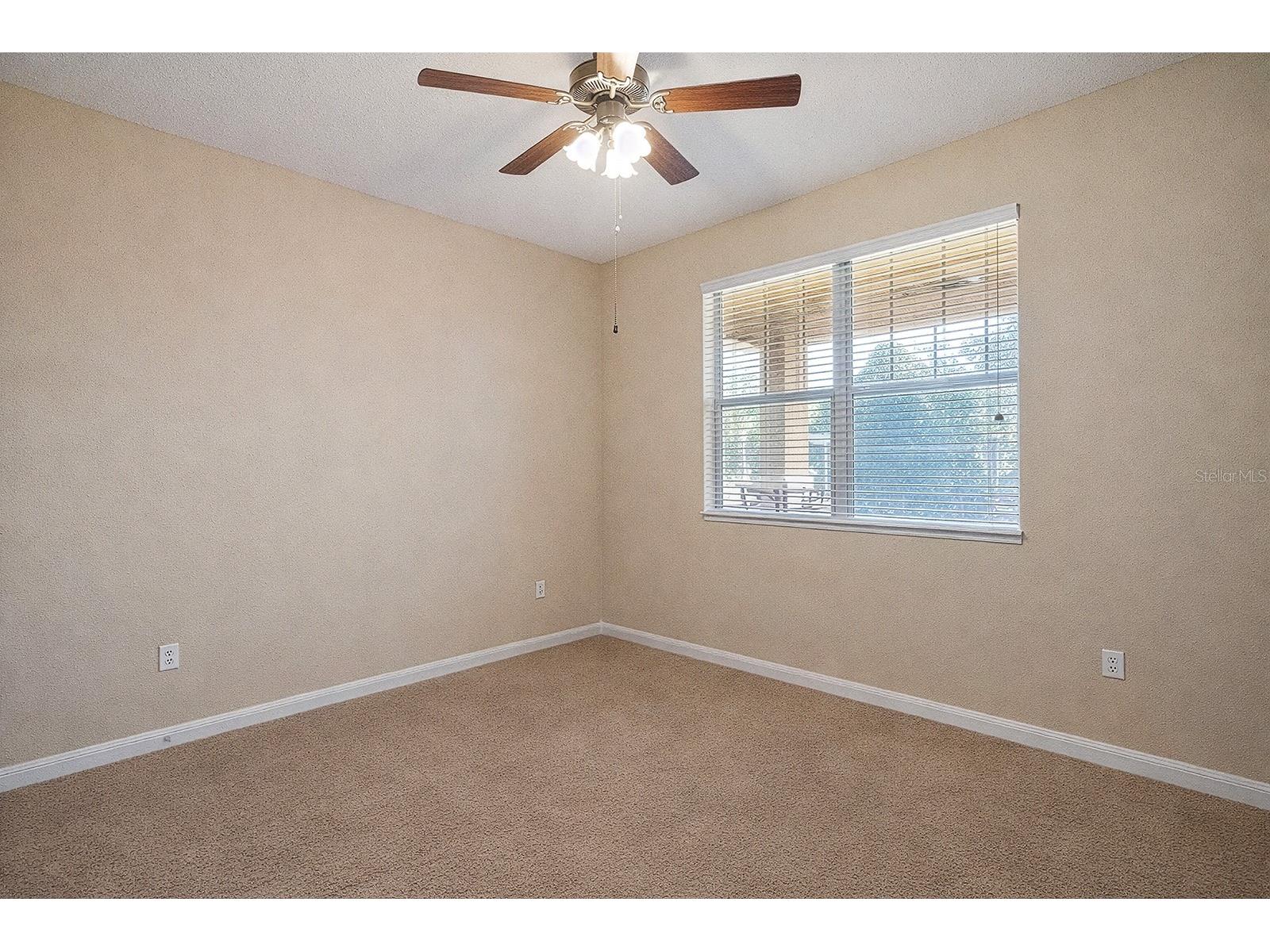 22019 Belgian Court Mount Dora FL 32757 O6375896 image19