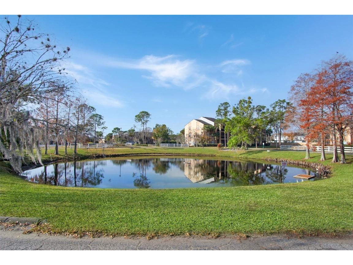 2202 Cascades Boulevard #104 Kissimmee FL 34741 S5138813 image13