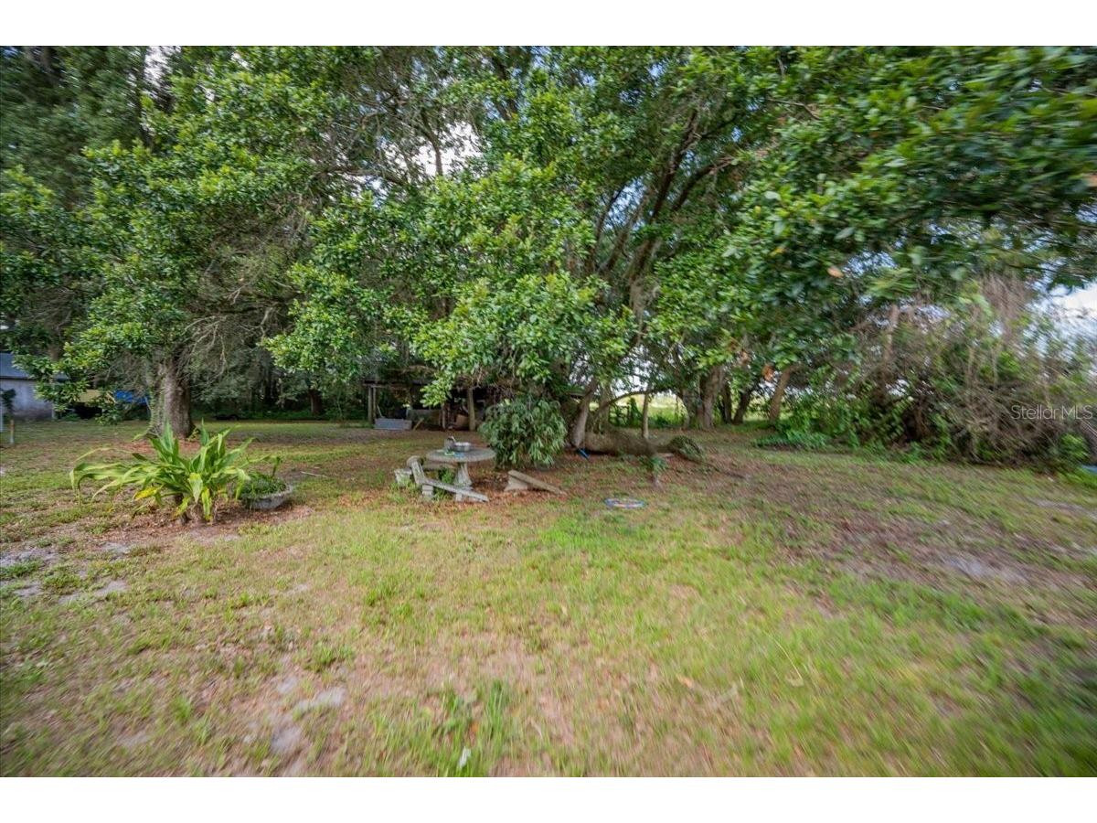2202 D R Bryant Rd Lakeland FL 33810 L4962665 image17