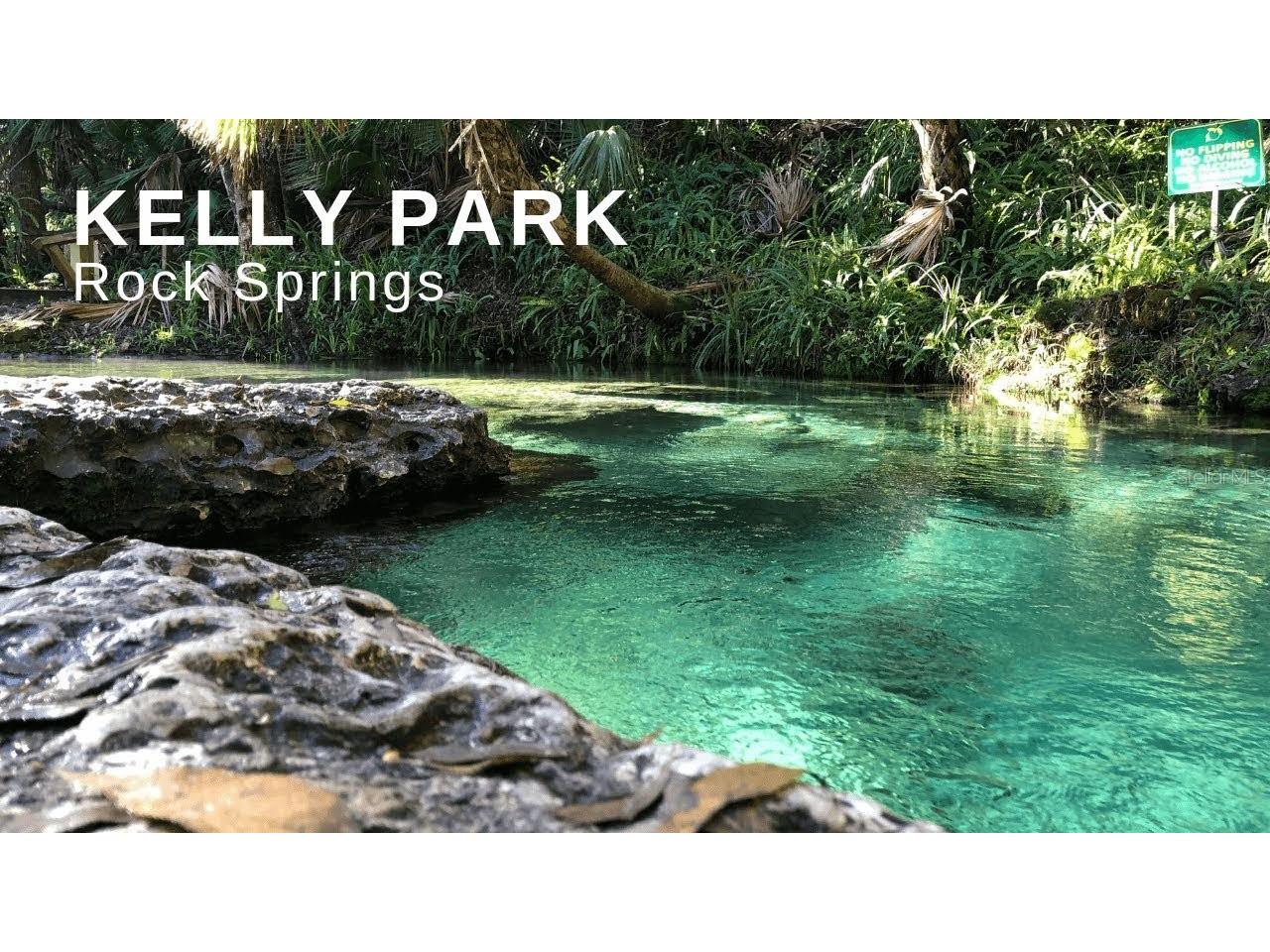 2202 Lake Marion Drive Apopka FL 32712 O6360069 image90