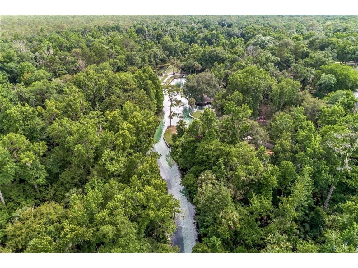 2202 Lake Marion Drive Apopka FL 32712 O6360069 image92