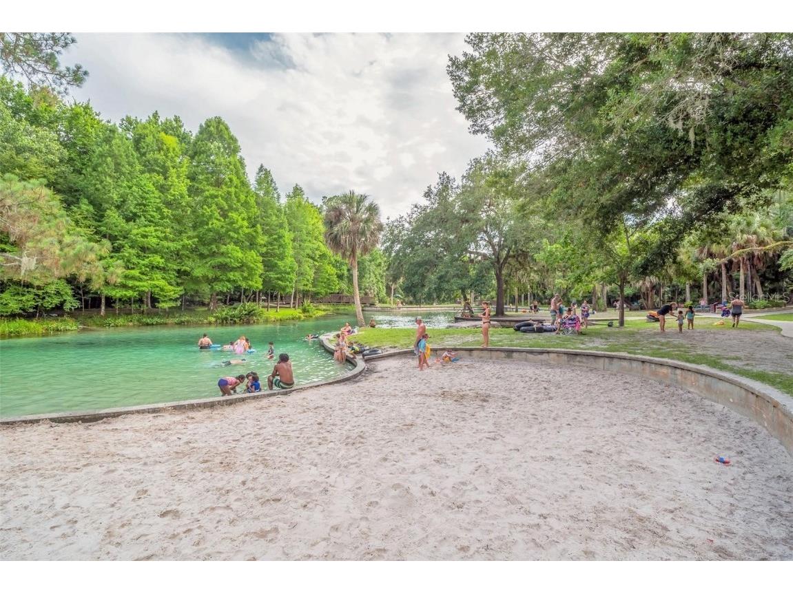 2202 Lake Marion Drive Apopka FL 32712 O6360069 image93