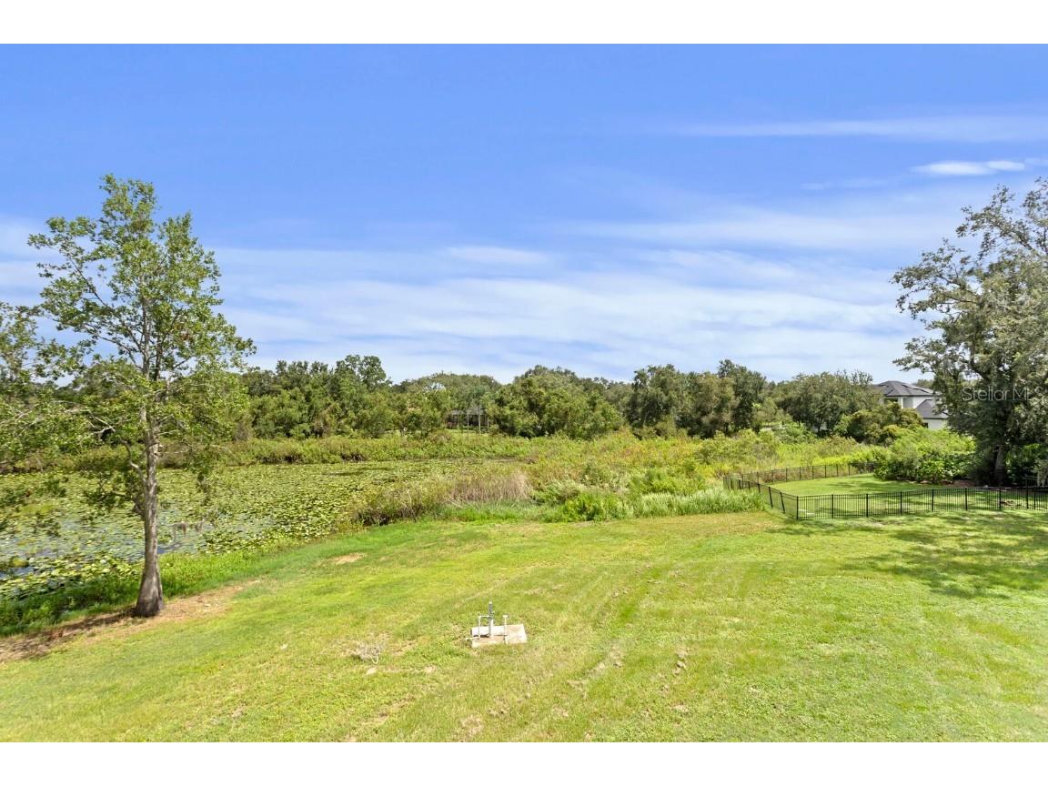 2202 Newberger Road Lutz FL 33549 TB8412647 image7
