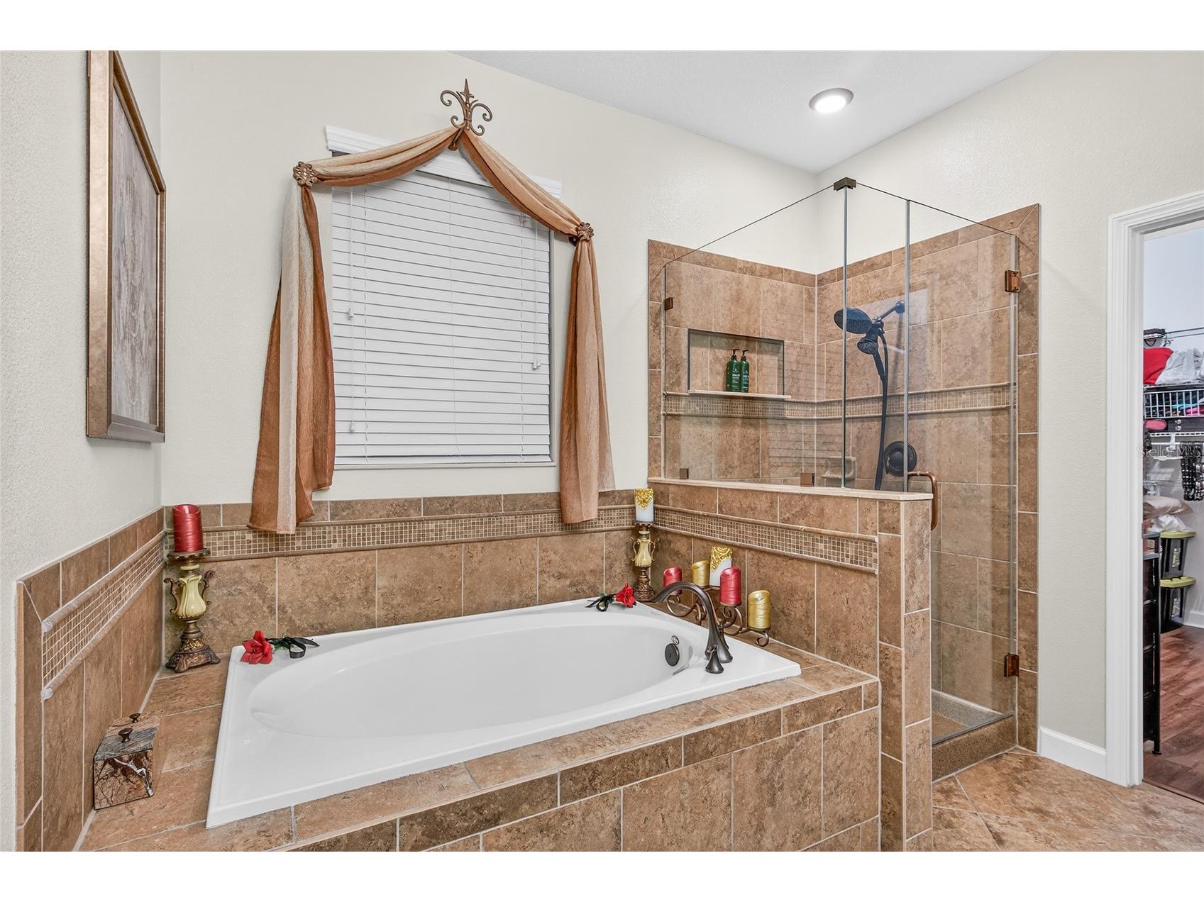 2202 Romanum Drive Winter Garden FL 34787 O6398743 image11