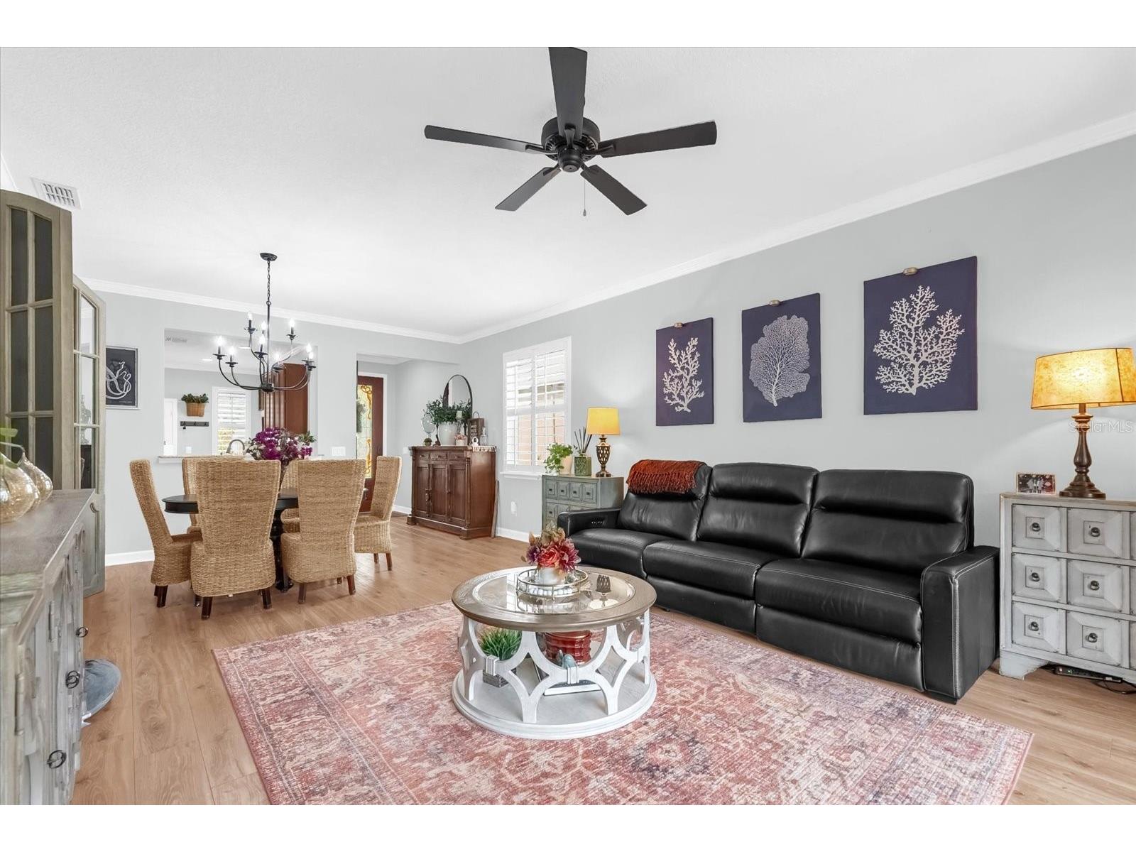 22020 Belgian Court Mount Dora FL 32757 O6372752 image5