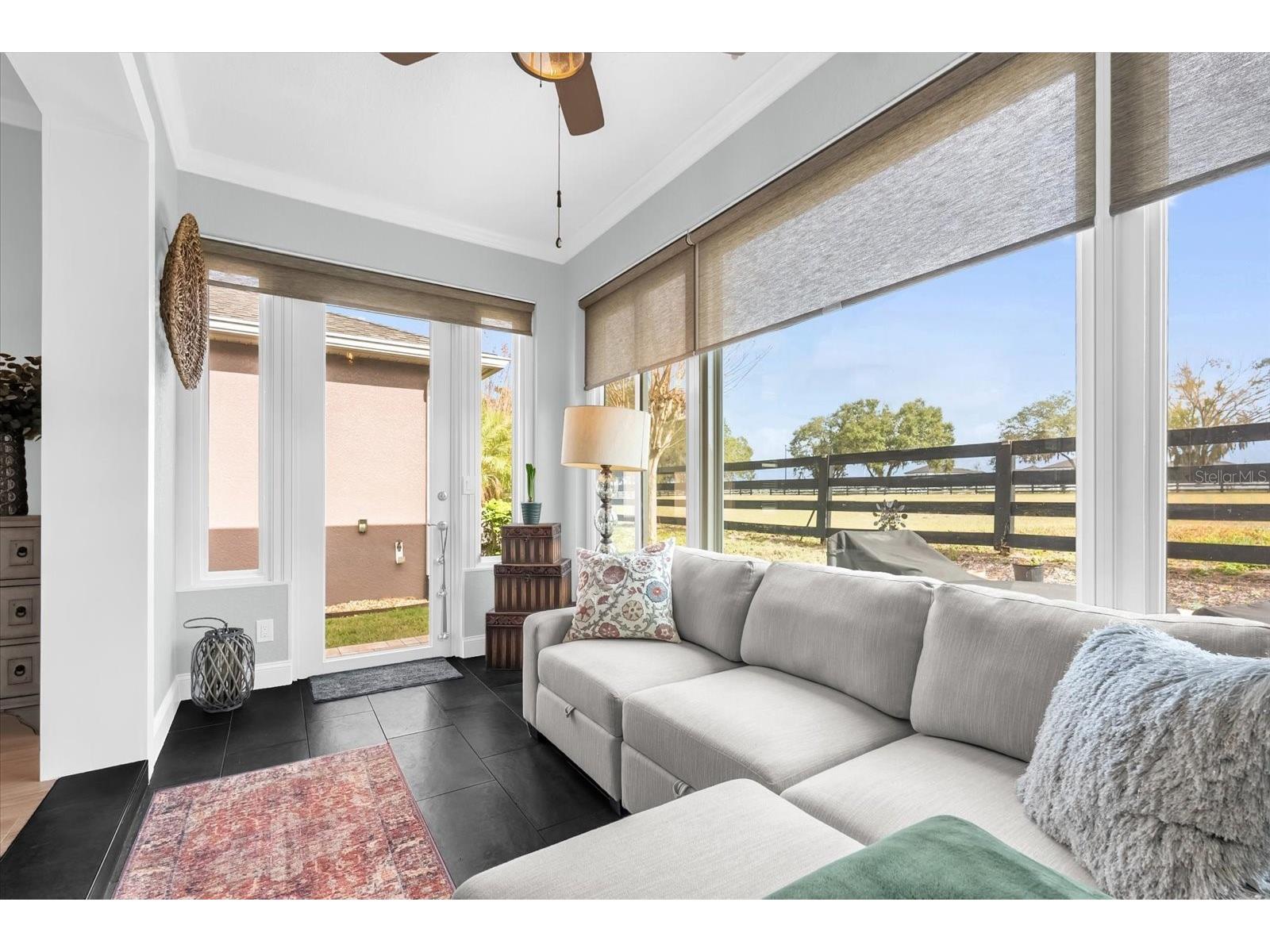 22020 Belgian Court Mount Dora FL 32757 O6372752 image6