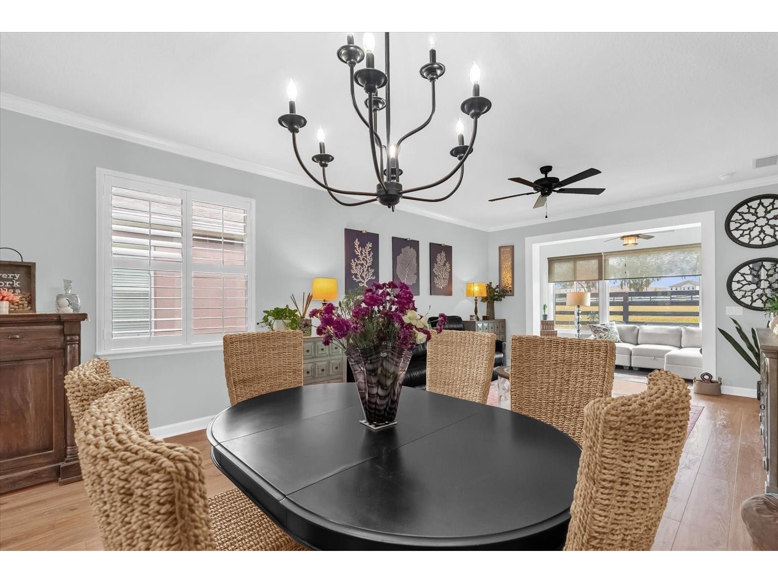 22020 Belgian Court Mount Dora FL 32757 O6372752 image9