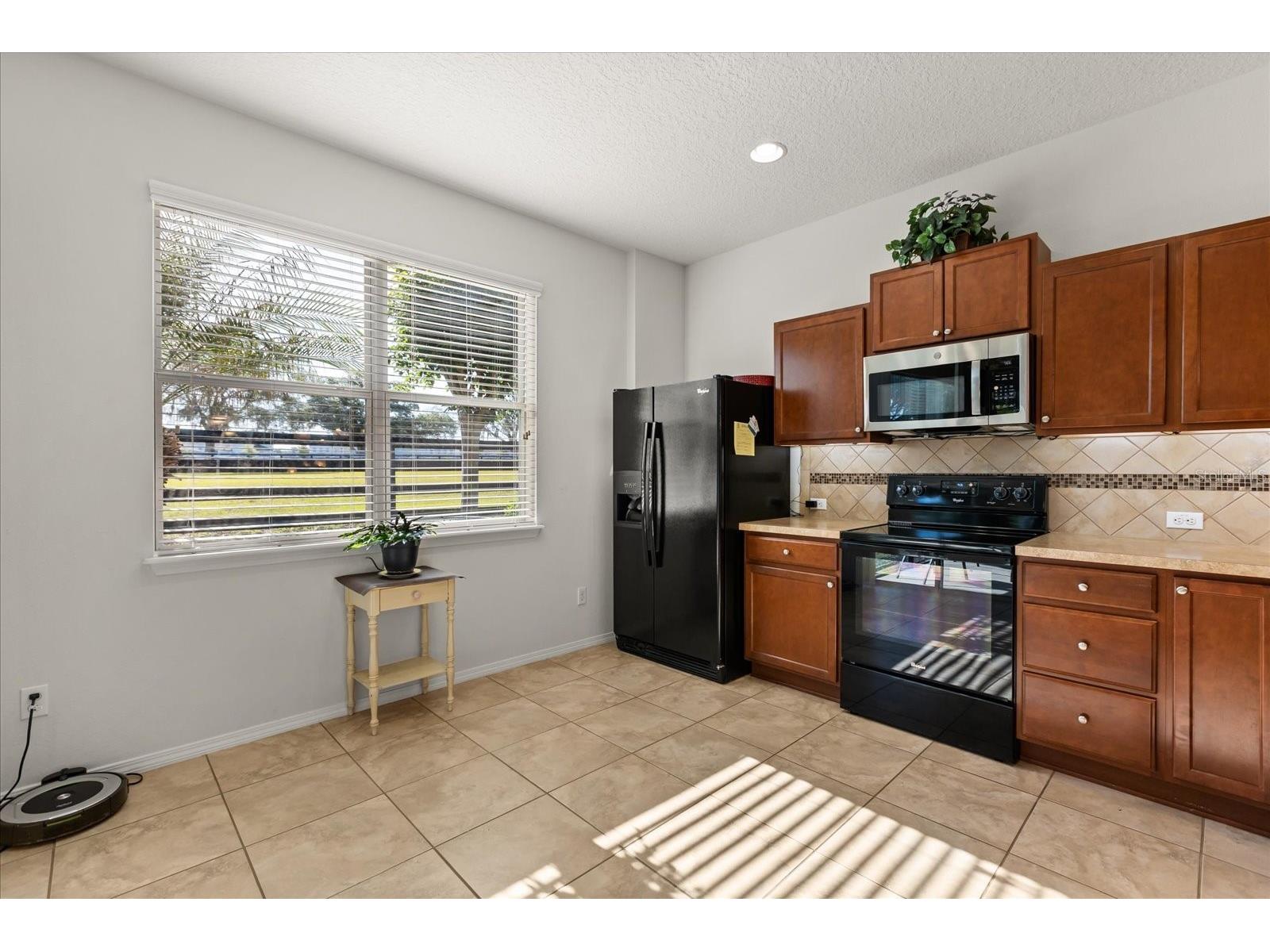 22024 Belgian Court Mount Dora FL 32757 G5111256 image4