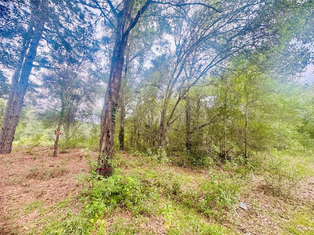 2203 Adams Street Inverness FL 34453 TB8434186 image1