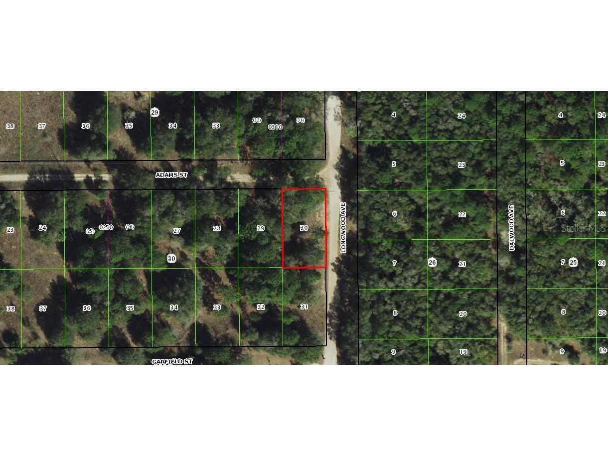 2203 Adams Street Inverness FL 34453 TB8434186 image10