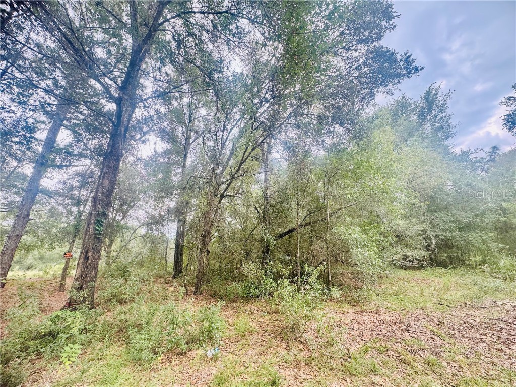 2203 Adams Street Inverness FL 34453 TB8434186 image4