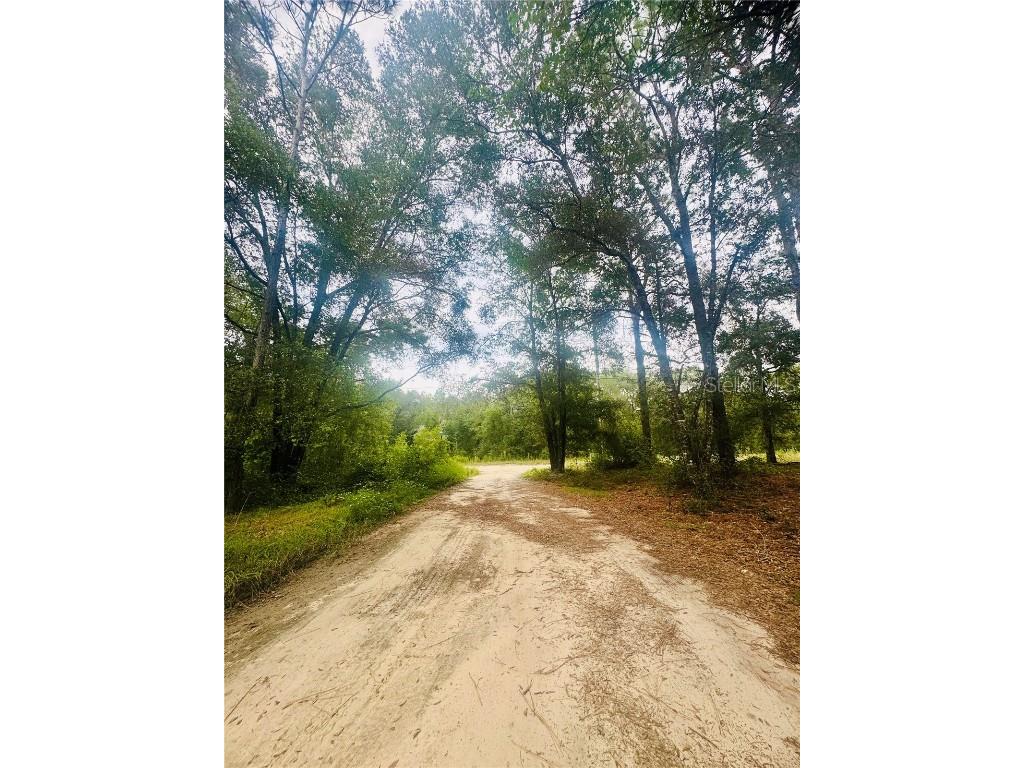 2203 Adams Street Inverness FL 34453 TB8434186 image7