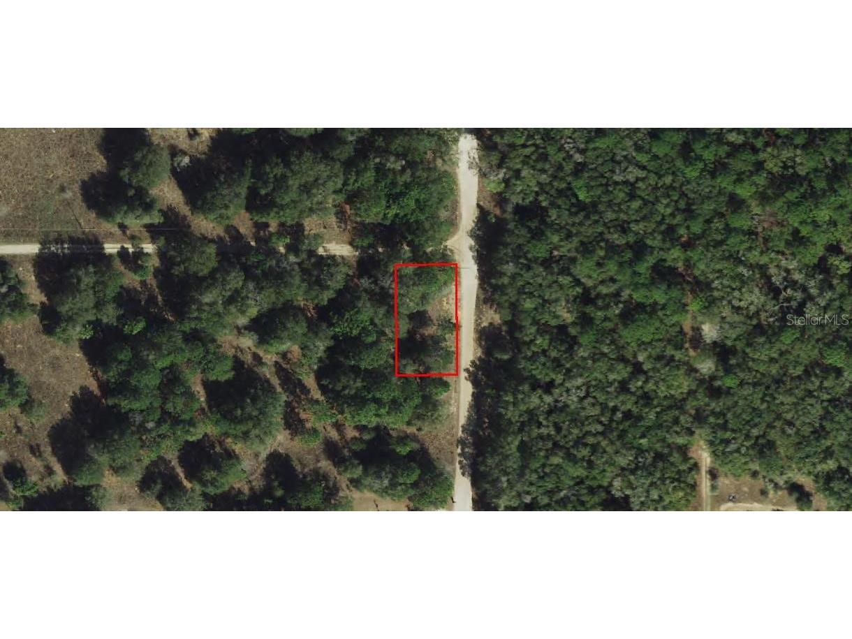 2203 Adams Street Inverness FL 34453 TB8434186 image9