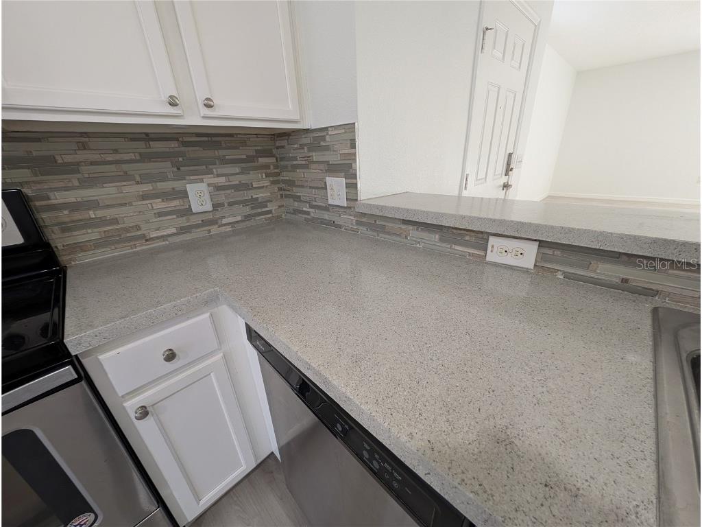 2203 Chatham Place Drive Orlando FL 32824 O6351560 image23