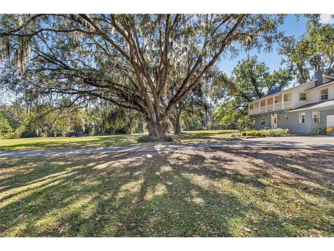 2203 Hidden Pond Road Plant City FL 33565 TB8444010 image42