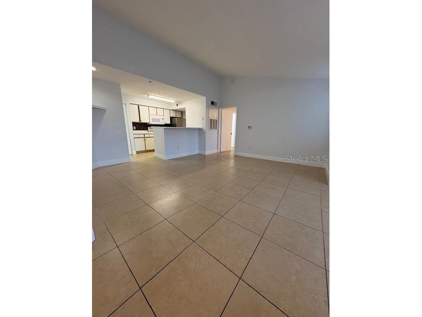 2203 Key West Court #436 Kissimmee FL 34741 S5111621 image4