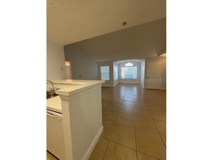 2203 Key West Court #436 Kissimmee FL 34741 S5111621 image7