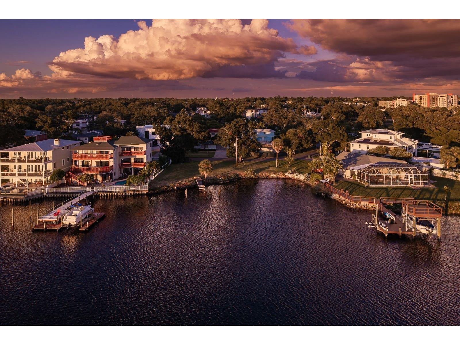 2203 N Riverside Drive Tampa FL 33602 - HILLSBOROUGH RIVER TB8430059 image1