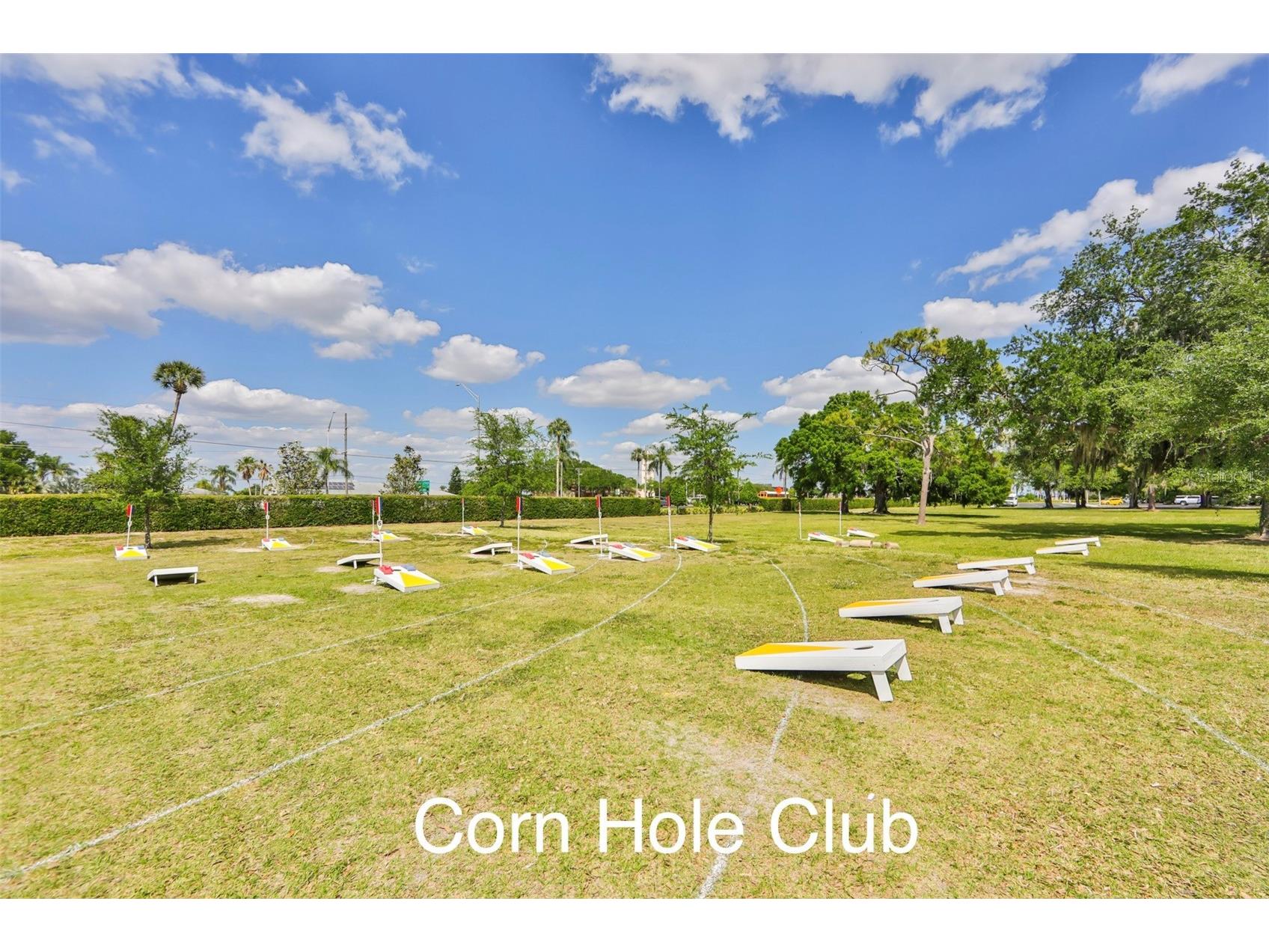 2203 Nantucket Drive #47 Sun City Center FL 33573 TB8476593 image54