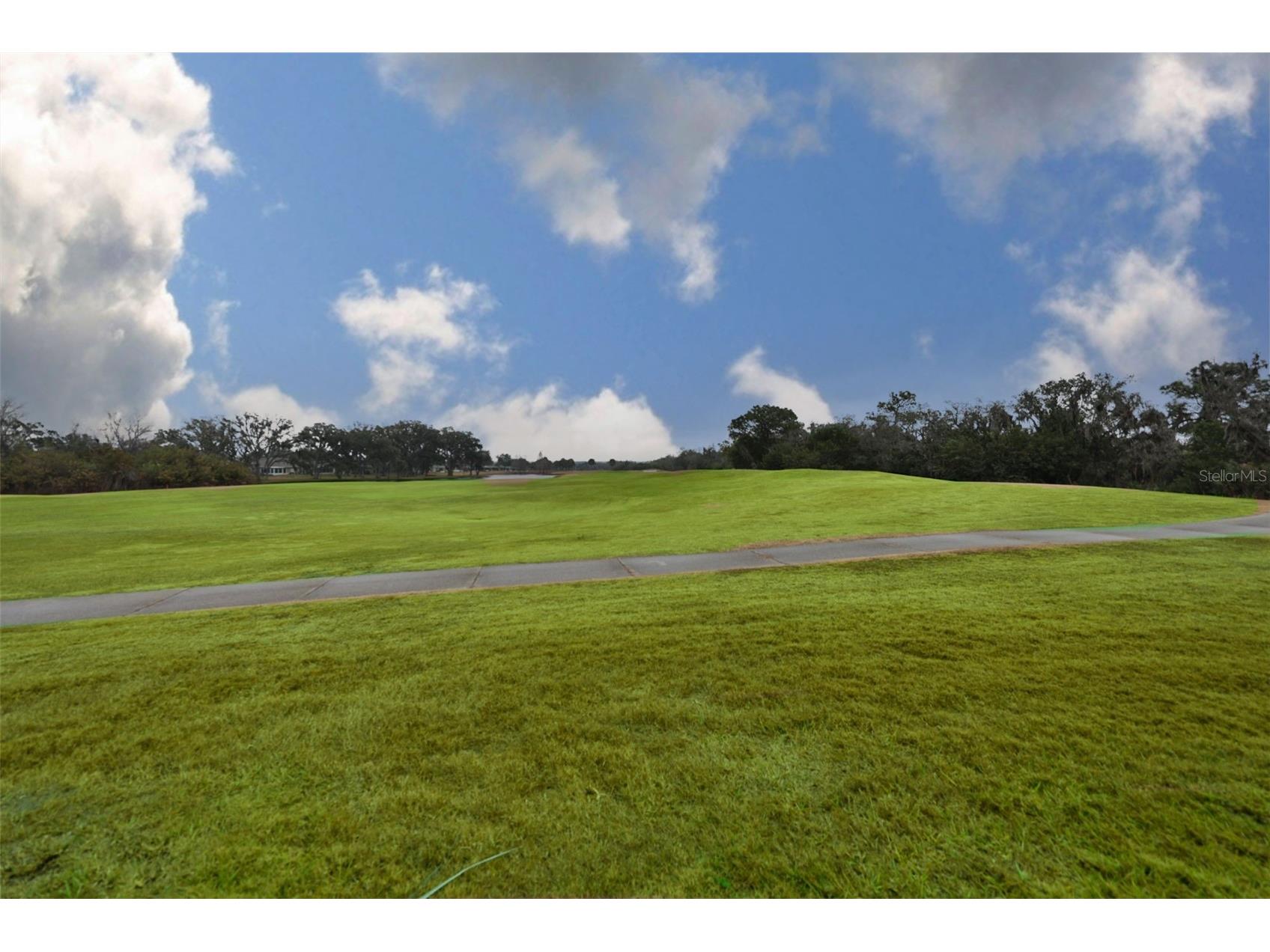 2203 Oakley Green Drive #45 Sun City Center FL 33573 TB8469246 image44