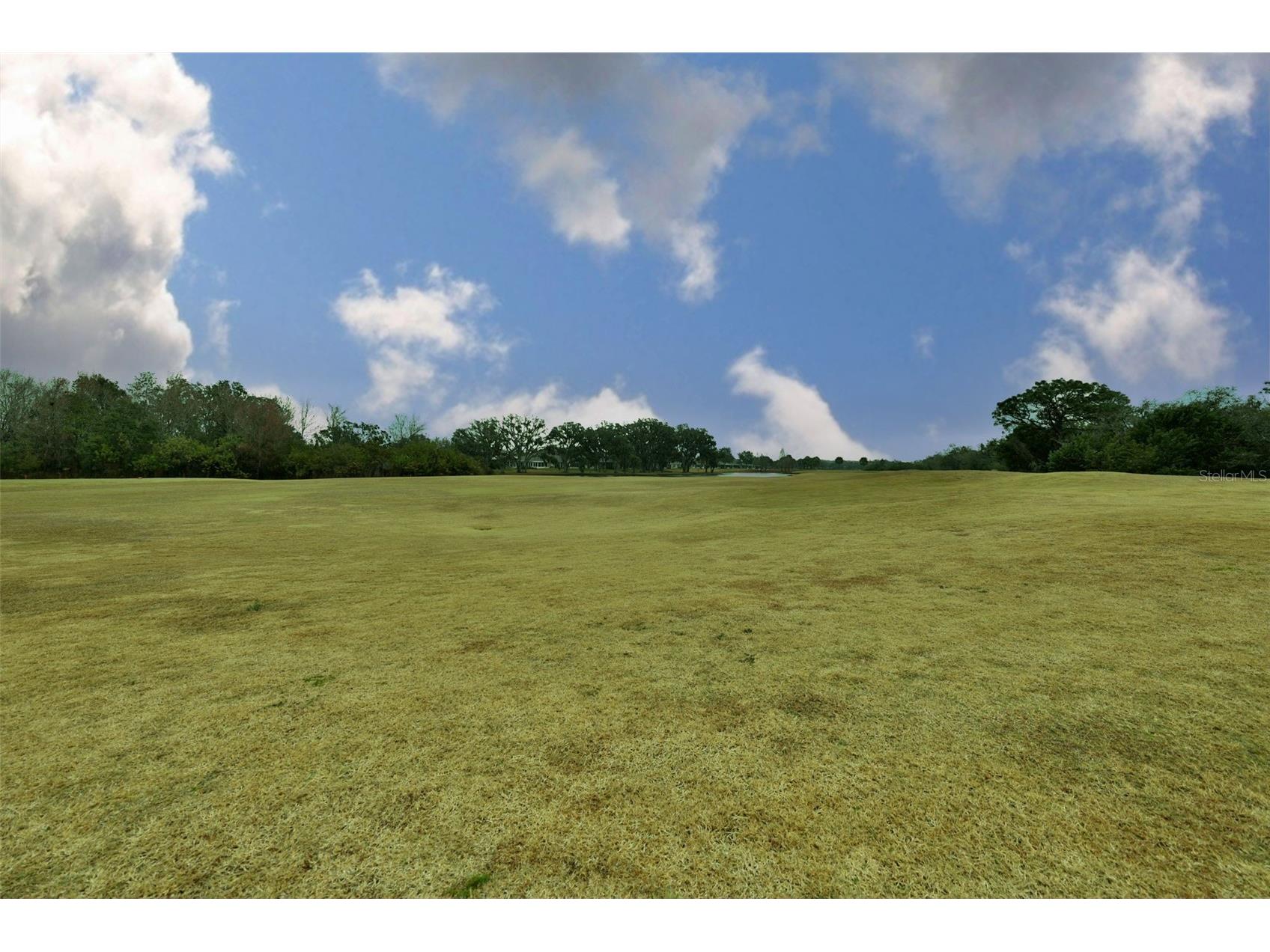 2203 Oakley Green Drive #45 Sun City Center FL 33573 TB8469246 image45