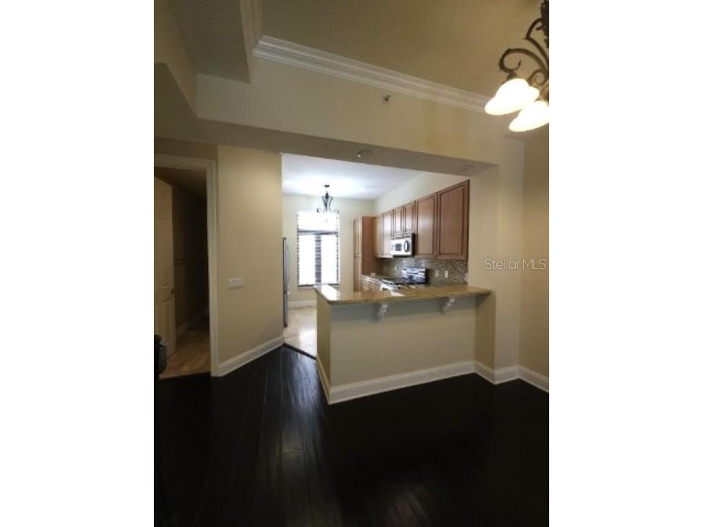 2203 Soho Bay Court Tampa FL 33606 TB8414545 image11