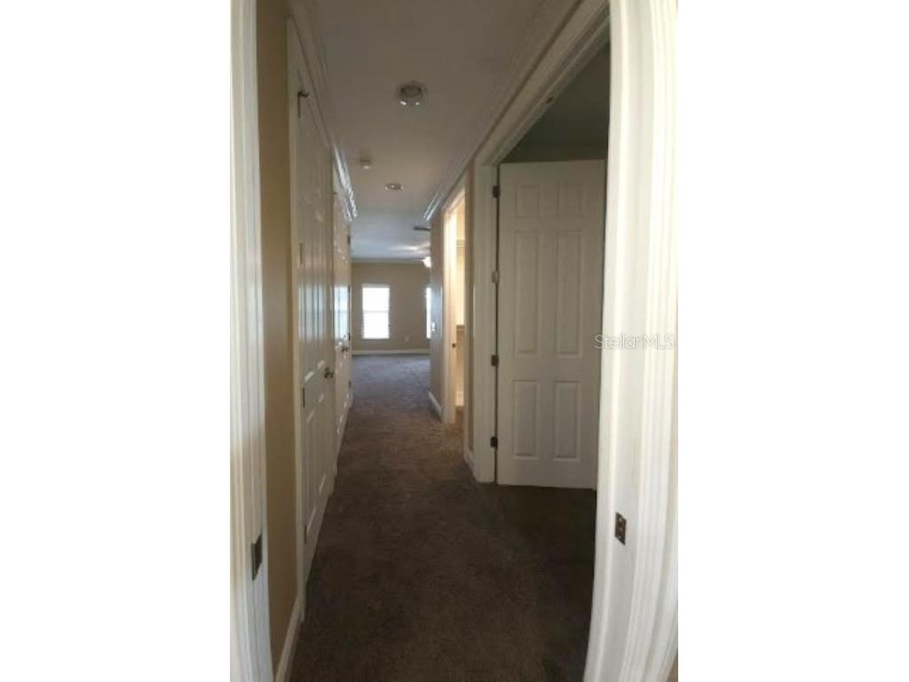 2203 Soho Bay Court Tampa FL 33606 TB8414545 image23