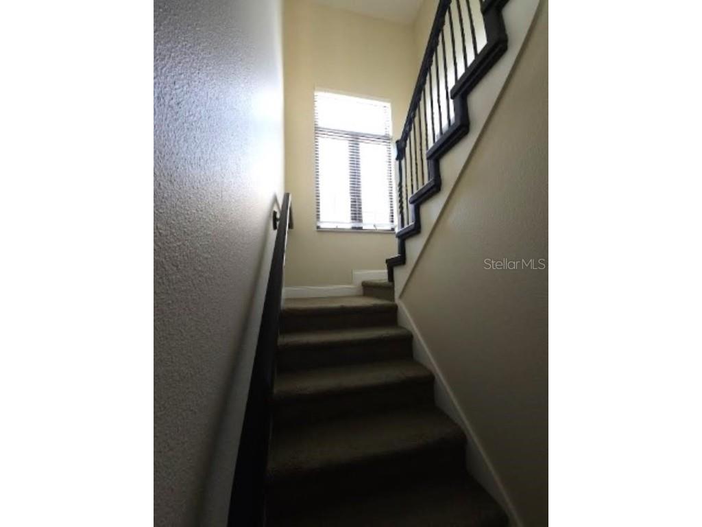 2203 Soho Bay Court Tampa FL 33606 TB8414545 image30