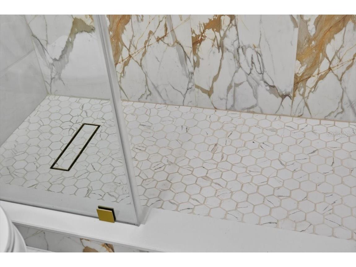 22034 Hidden Oak Place Land O Lakes FL 34639 TB8419606 image33