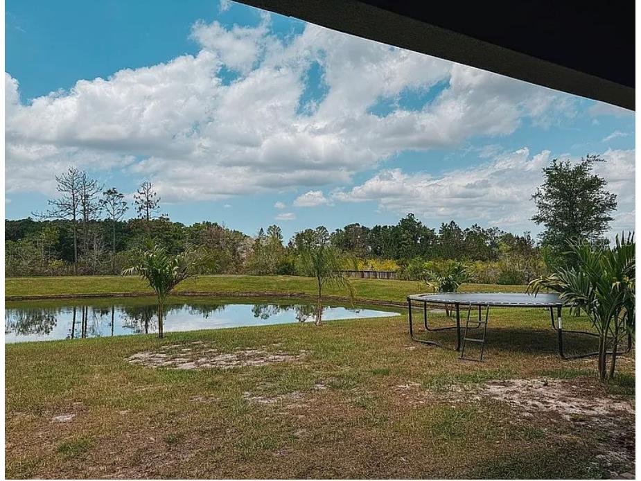 22034 Storybook Cabin Way Land O Lakes FL 34637 TB8492238 image39