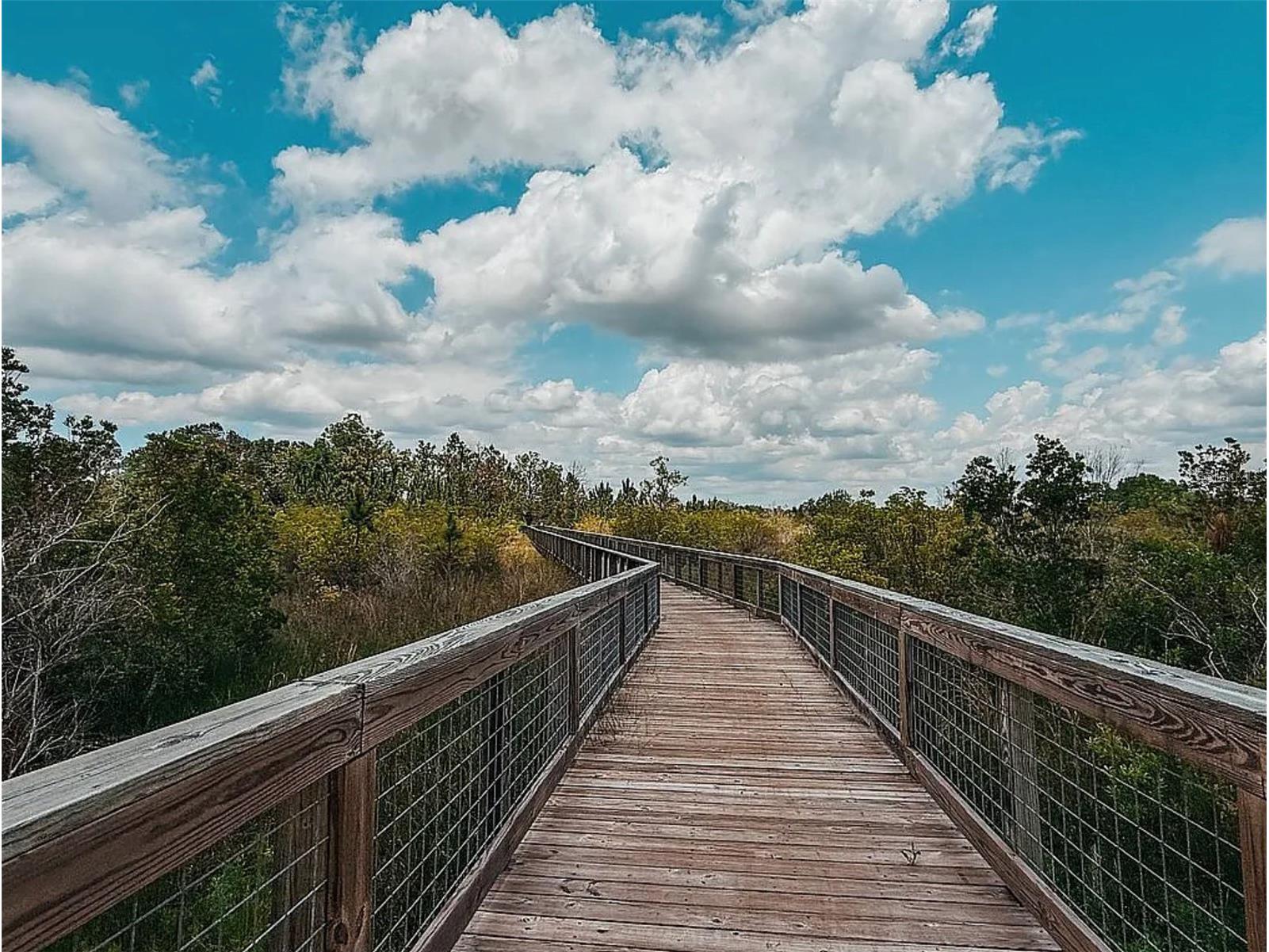 22034 Storybook Cabin Way Land O Lakes FL 34637 TB8492238 image40