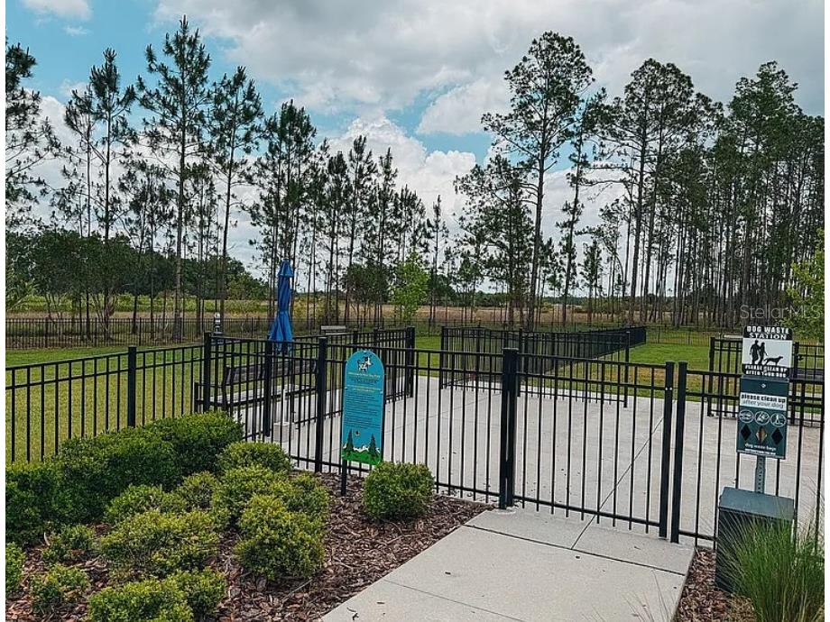 22034 Storybook Cabin Way Land O Lakes FL 34637 TB8492238 image41