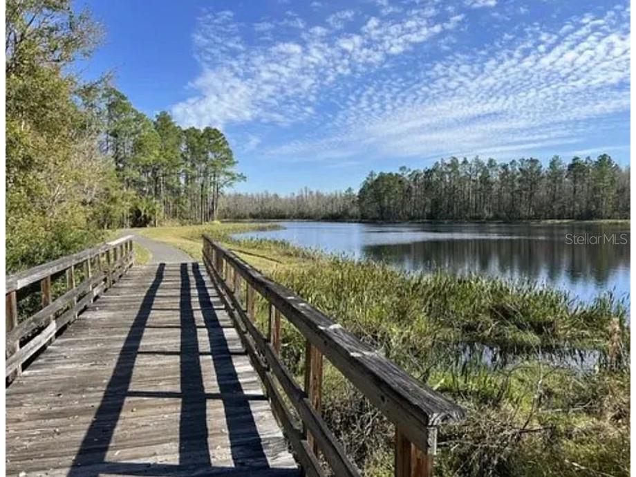22034 Storybook Cabin Way Land O Lakes FL 34637 TB8492238 image46