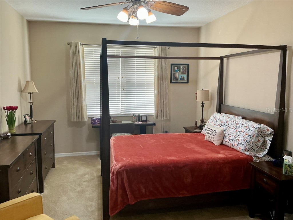 22035 Belgian Court Mount Dora FL 32757 O6356010 image14