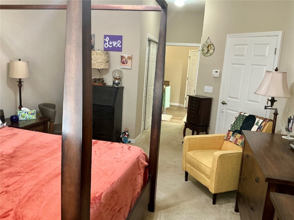 22035 Belgian Court Mount Dora FL 32757 O6356010 image15