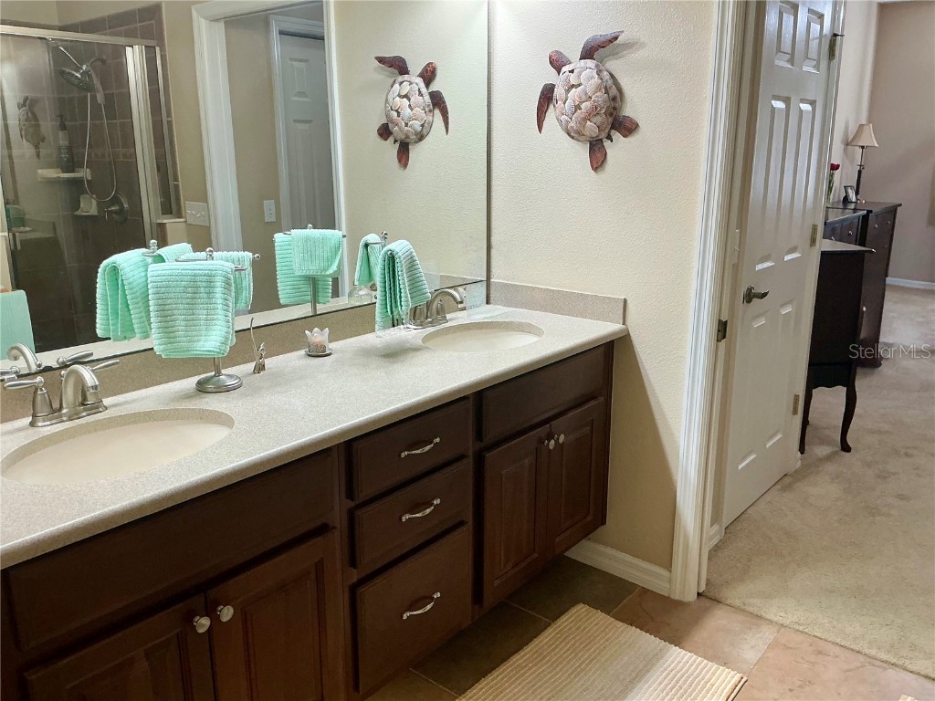 22035 Belgian Court Mount Dora FL 32757 O6356010 image16