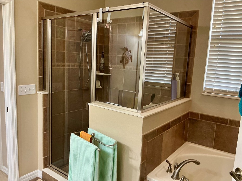 22035 Belgian Court Mount Dora FL 32757 O6356010 image18