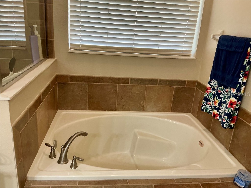 22035 Belgian Court Mount Dora FL 32757 O6356010 image19