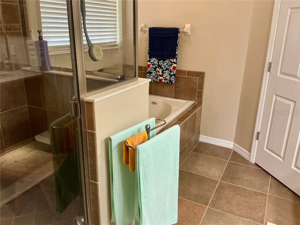 22035 Belgian Court Mount Dora FL 32757 O6356010 image20