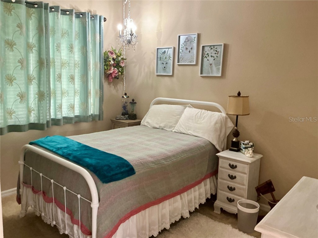 22035 Belgian Court Mount Dora FL 32757 O6356010 image24