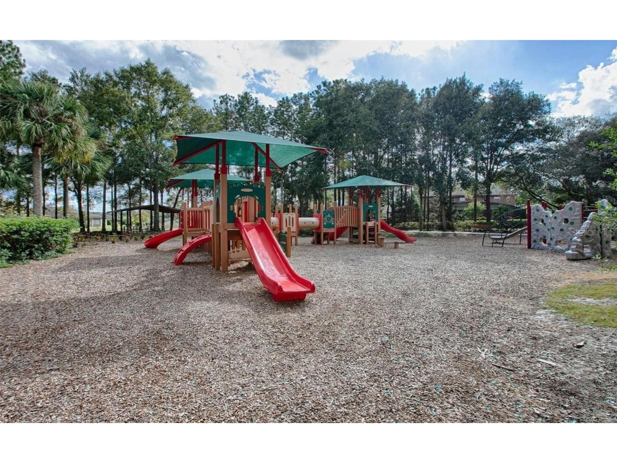 22035 Belgian Court Mount Dora FL 32757 O6356010 image35