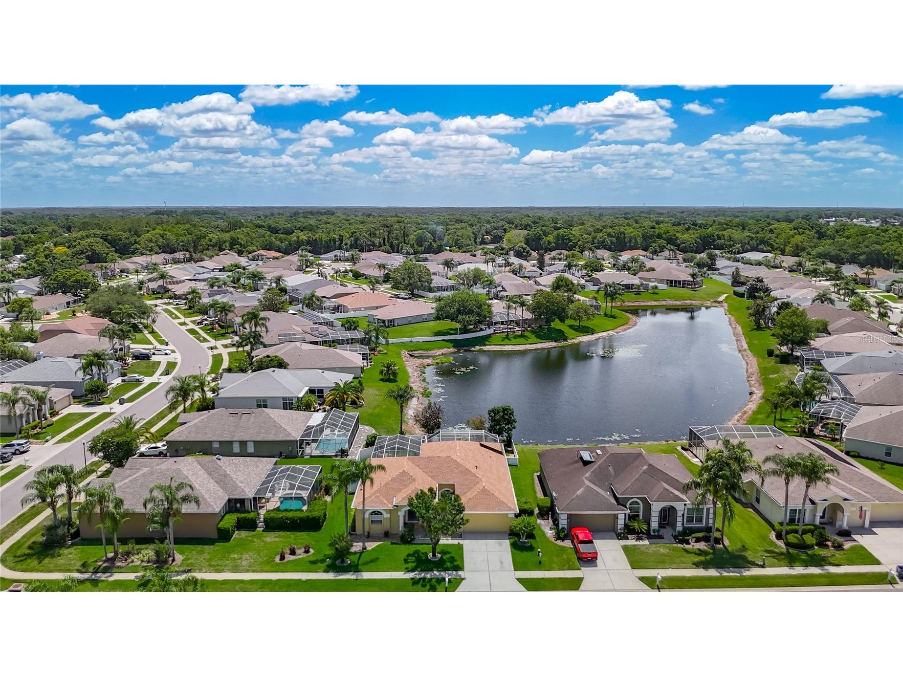 22035 Yachtclub Terrace Land O Lakes FL 34639 TB8516293 image2
