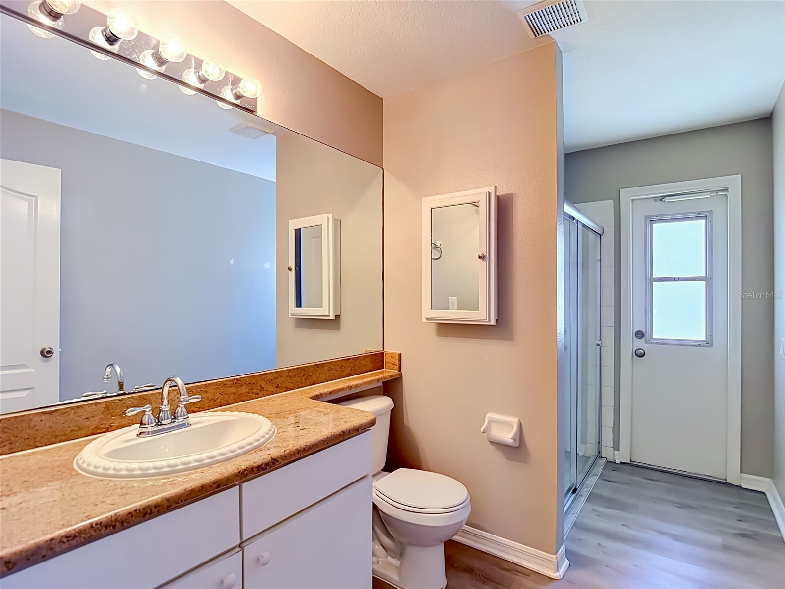 22035 Yachtclub Terrace Land O Lakes FL 34639 TB8516293 image41