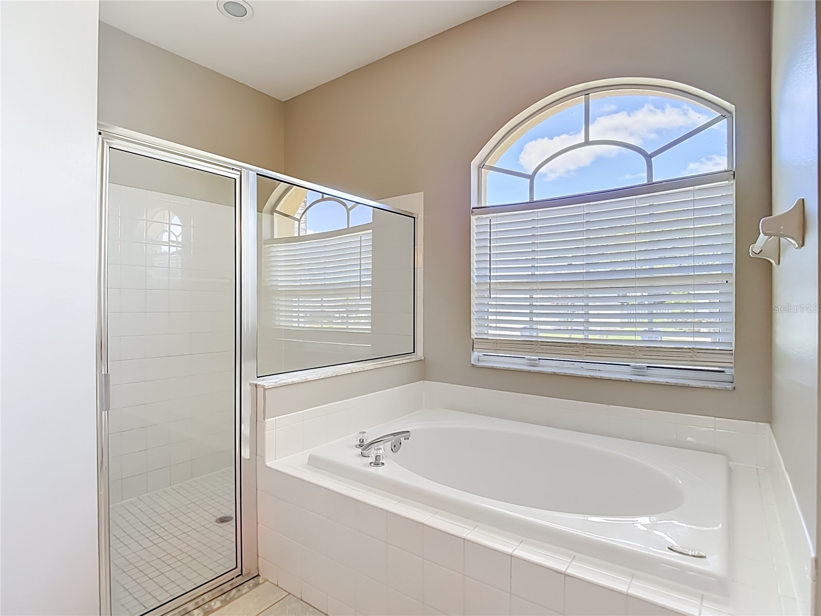 22035 Yachtclub Terrace Land O Lakes FL 34639 TB8516293 image62
