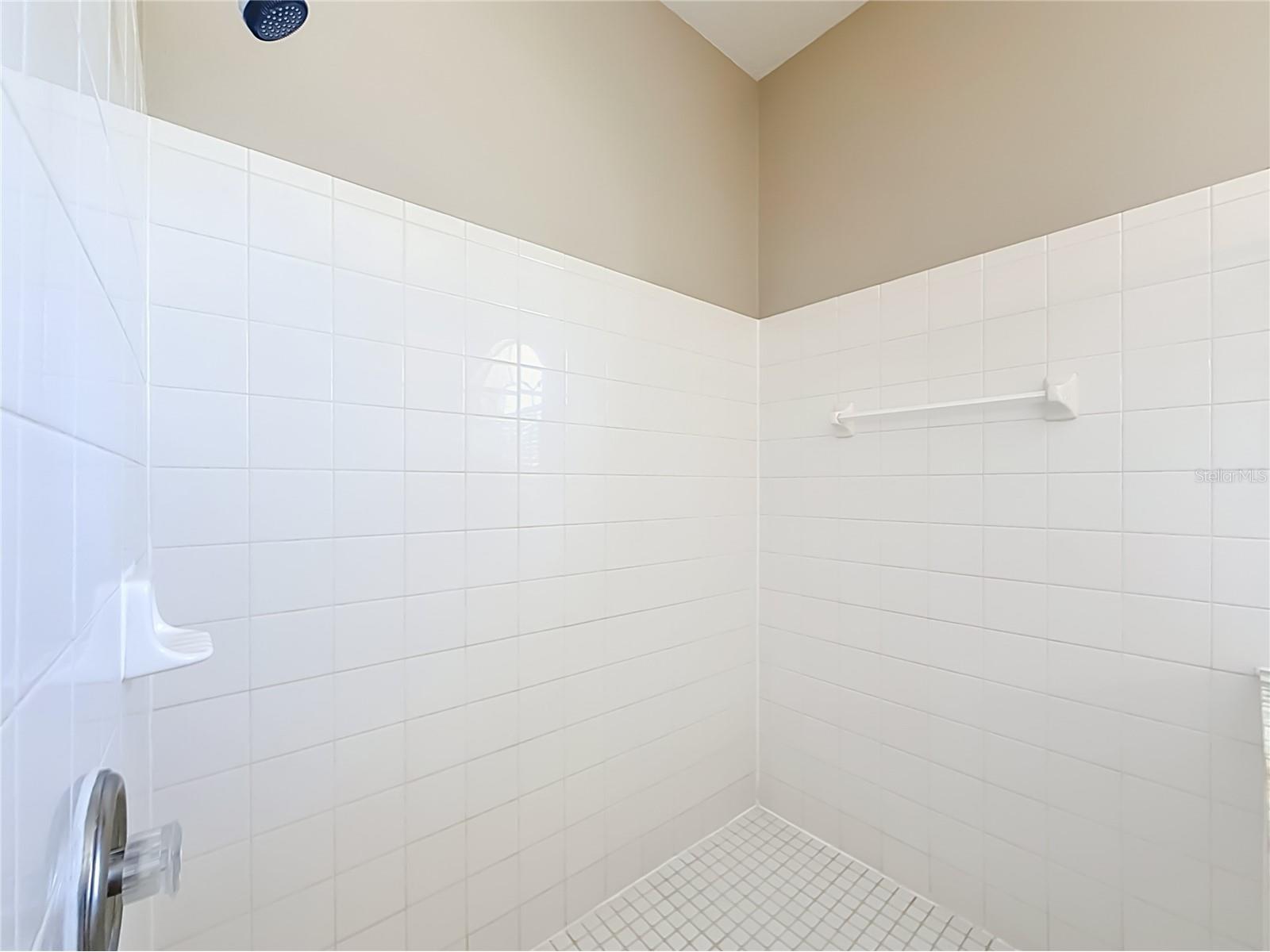 22035 Yachtclub Terrace Land O Lakes FL 34639 TB8516293 image63
